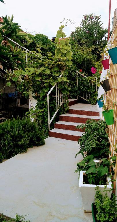 Sofia'S Way Apartments ييلسا المظهر الخارجي الصورة