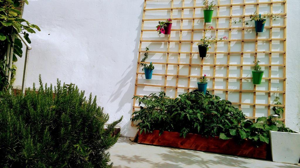 Sofia'S Way Apartments ييلسا المظهر الخارجي الصورة